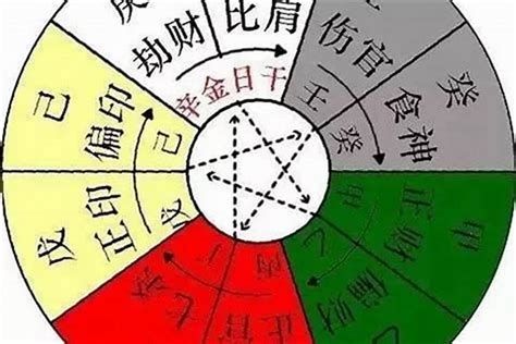 怎么知道自己属什么